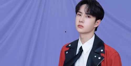 娱乐圈人爆料王一博,娱乐圈爆料背后的真实故事  第3张