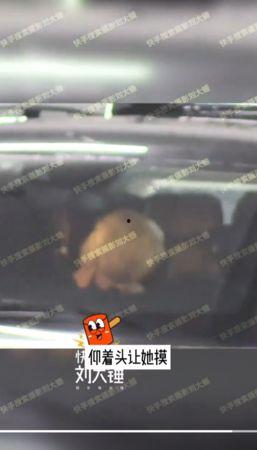 摄影刘大锤今日爆料最新,摄影界最新爆料背后的故事  第3张