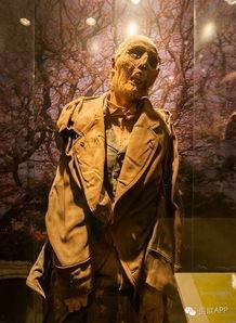 娱乐吃瓜酱毛骨悚然,揭秘毛骨悚然的幕后真相  第1张