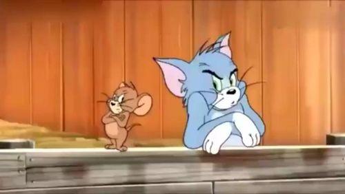 新猫新鼠爆料视频大全下载,揭秘幕后精彩瞬间  第3张