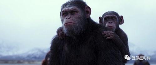 猩猿崛起3在线观看,命运之战在线观影指南：揭秘猿类新纪元的命运抉择  第3张